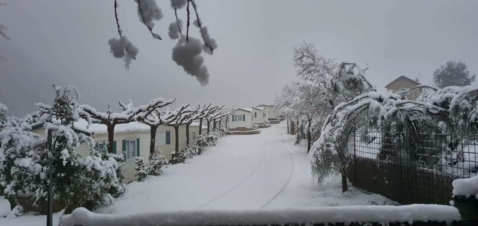 Camping Port Massaluca, Enero 2021